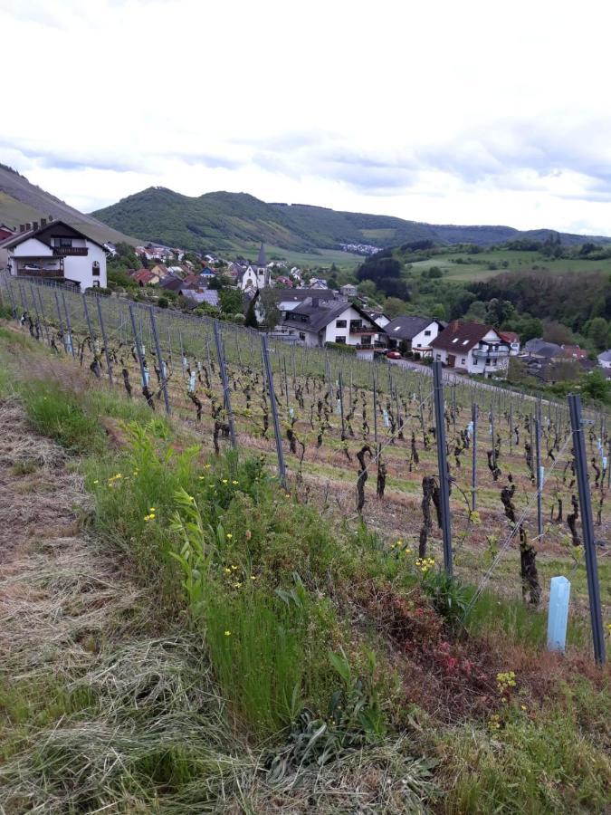 Ferienwohnung Saarblick Ockfen Bagian luar foto